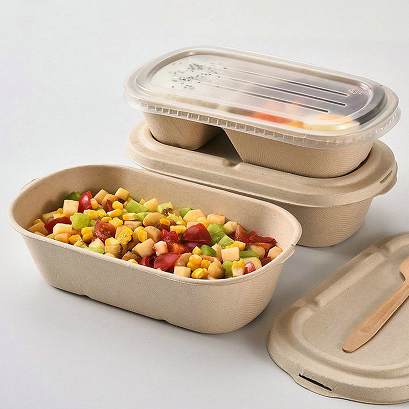 10/50PCS 일회용 테이크 아웃 상자 도시락 상자  - Meal Prep Bowl 리뷰 및 가격